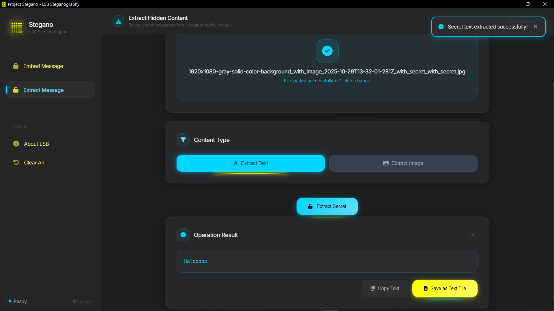 SteganoAPP Screenshot 3