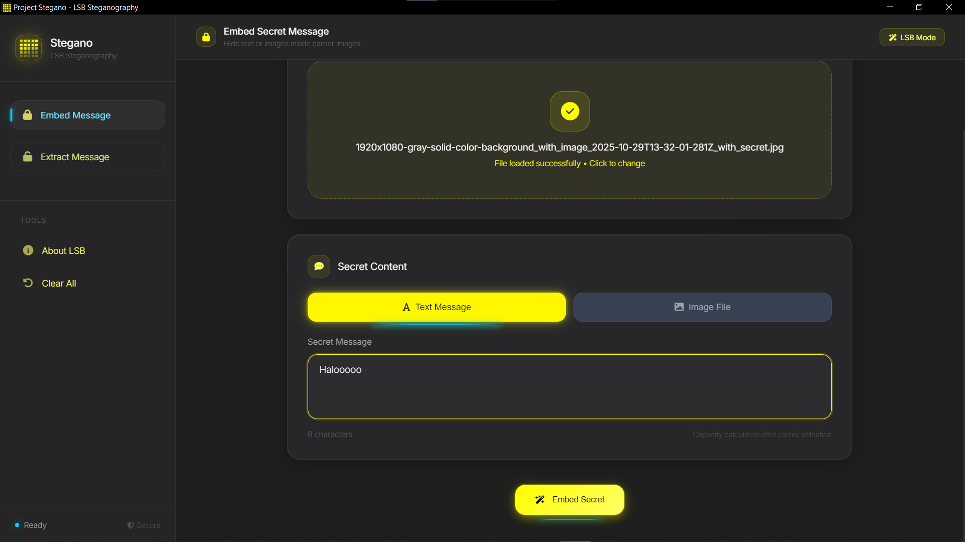 SteganoAPP Screenshot 2